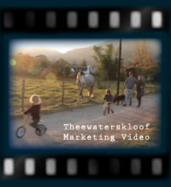 Theewaterskloof Marketing Video